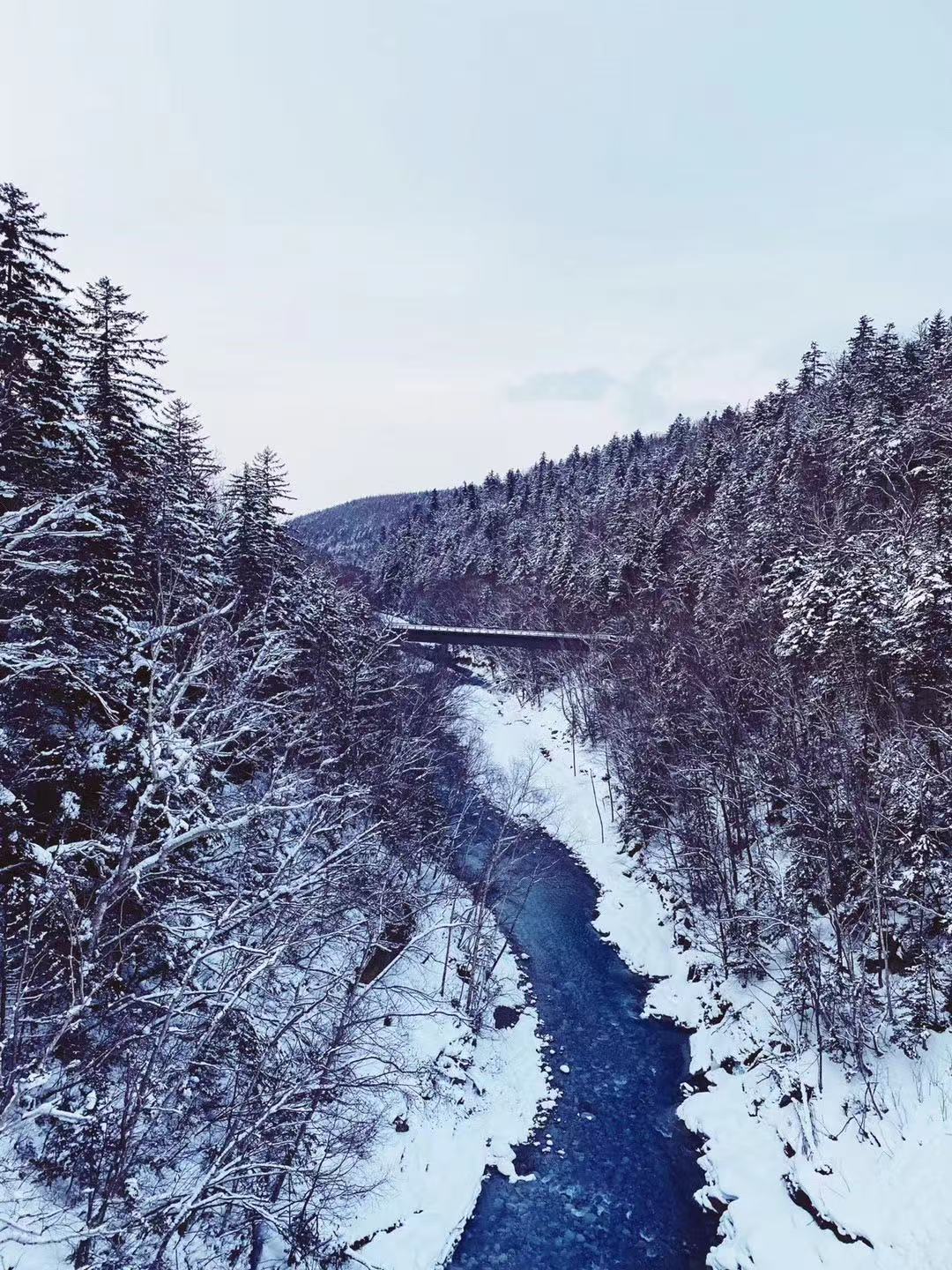 北海道冬季森林与河谷